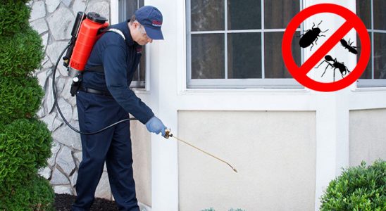 Orhaneli Dezenfeksiyon böcek ilaçlama ve haşere kontrolü — ilaclama-tr.com